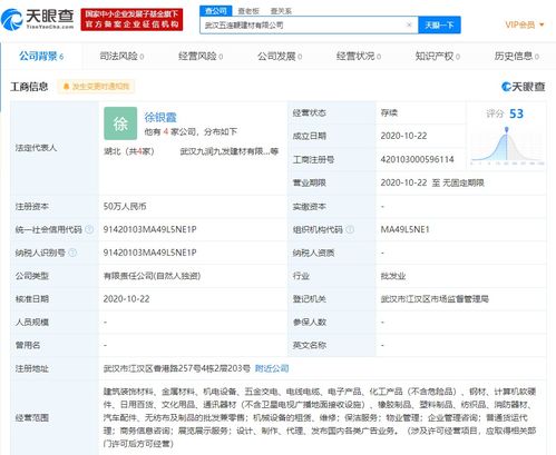 商務(wù)信息咨詢(xún) 賦能企業(yè)決策的智慧引擎