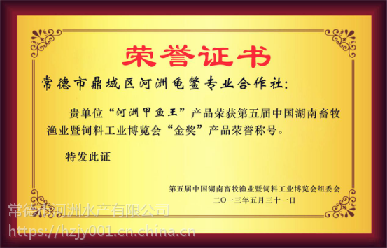 野生與養(yǎng)殖甲魚(yú)市場(chǎng)淺析 從洞庭湖鱉苗到餐桌的價(jià)格鏈條